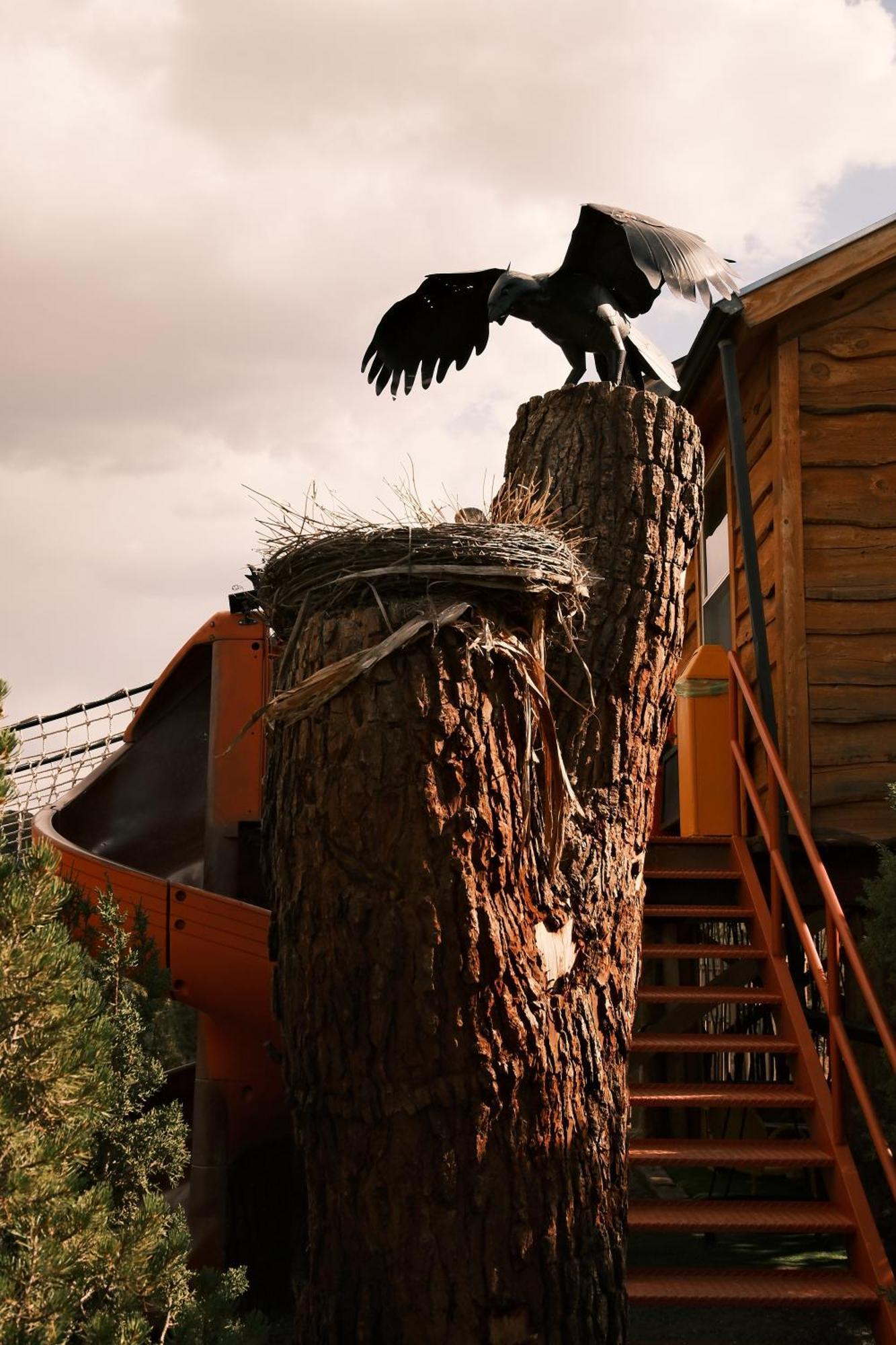 Crows Nest Treehouse At El Mstico Ranch Villa Nogal Luaran gambar
